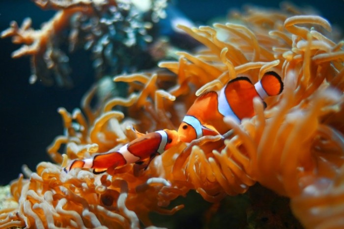 來源: http://tamaken.seesaa.net/article/106568787.html