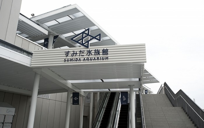 來源: http://hoshino.asablo.jp/blog/2012/06/19/6486079