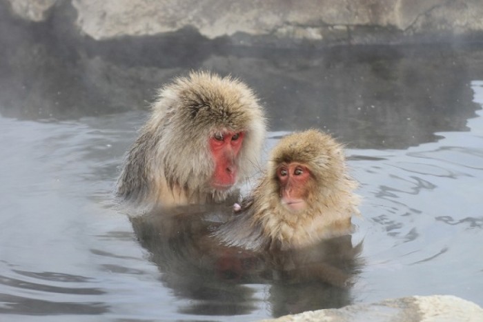 來源: http://blog.goo.ne.jp/mountriver01/e/7369adaaa6b1235d7fd0265297f953e4