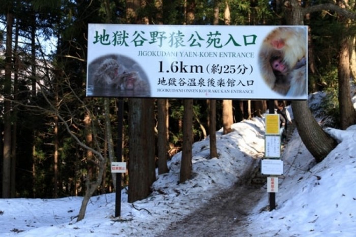 來源: http://blogs.yahoo.co.jp/xxxokirakuxxx/51504717.html