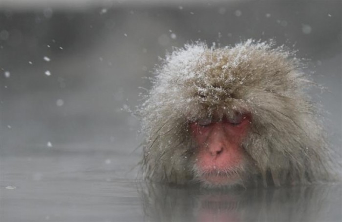 來源: http://blog.goo.ne.jp/goo221947/e/018e20e806b5550ba6546eda1fe306f6