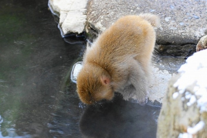 來源: http://blog.goo.ne.jp/mountriver01/e/7369adaaa6b1235d7fd0265297f953e4