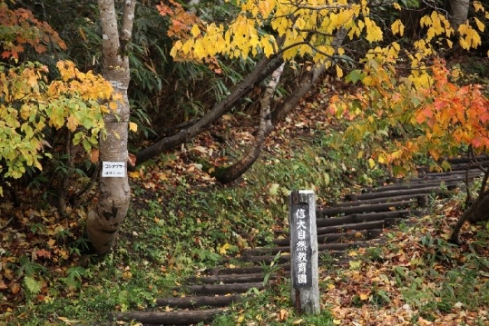 來源: http://gallop.p1.bindsite.jp/fuji_arukitai_photo5/