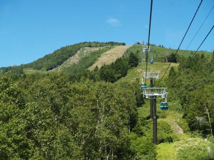 來源: http://blog.princehotels.co.jp/yakebi/2007/07/post_113.html