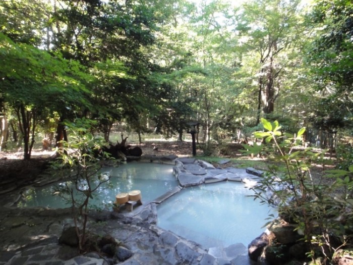 來源: http://blogs.yahoo.co.jp/masumi_january7/60228271.html