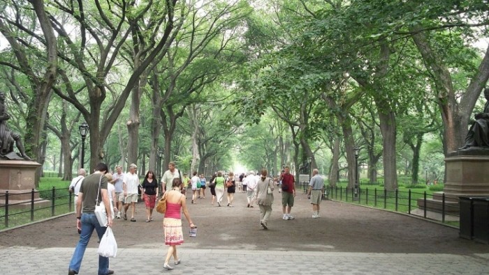 來源: http://commons.wikimedia.org/wiki/File:The_Mall_%26_Literary_Walk,_Central_Park,_Manhattan,_NYC.JPG