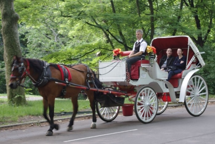 來源: http://clearedready.blogspot.com/2011/09/new-york-city-week-central-park-repost.html