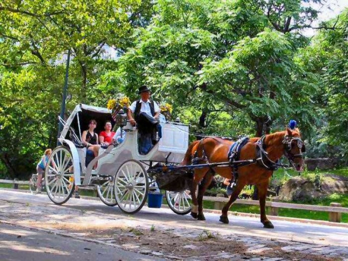 來源: http://www.outsidethebeltway.com/new-nyc-mayor-wants-to-ban-horse-drawn-carriages/