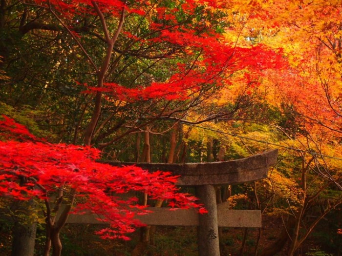 來源: http://s.webry.info/sp/akemaru.at.webry.info/201412/article_2.html
