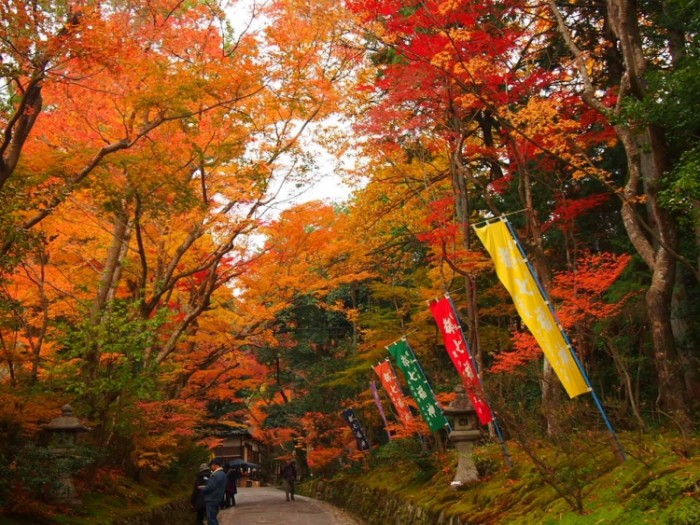 來源: http://s.webry.info/sp/akemaru.at.webry.info/201412/article_2.html