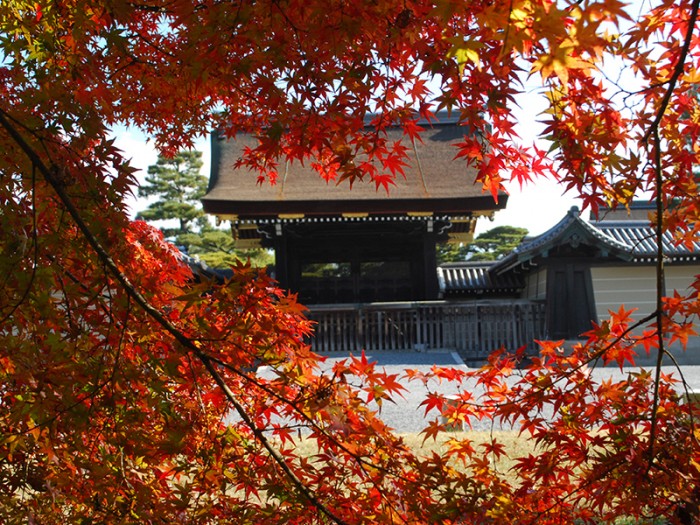來源: http://fng.or.jp/kyoto/