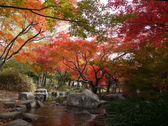 來源: http://blog.goo.ne.jp/majikunmama/e/0173a7ee63c40916454f0545908ccacb
