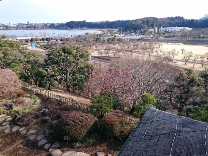 來源: http://tukasarea.exblog.jp/iv/detail/index.asp?s=21544504&i=201502%2F09%2F57%2Fd0061857_20403287.jpg