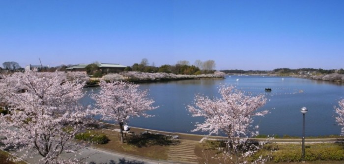 來源: http://wagao39.blog21.fc2.com/blog-entry-796.html