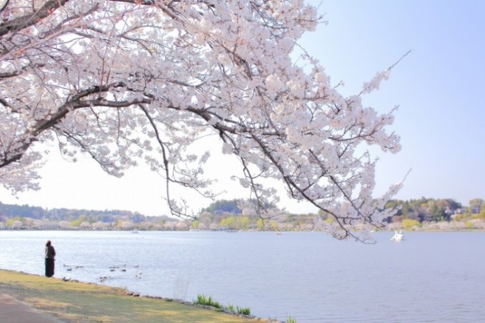 來源: http://blogs.yahoo.co.jp/maxspeed1000km/67239980.html