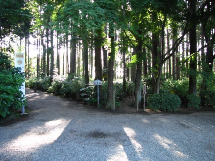來源: http://blogs.yahoo.co.jp/yamada_collection2007/40407816.html