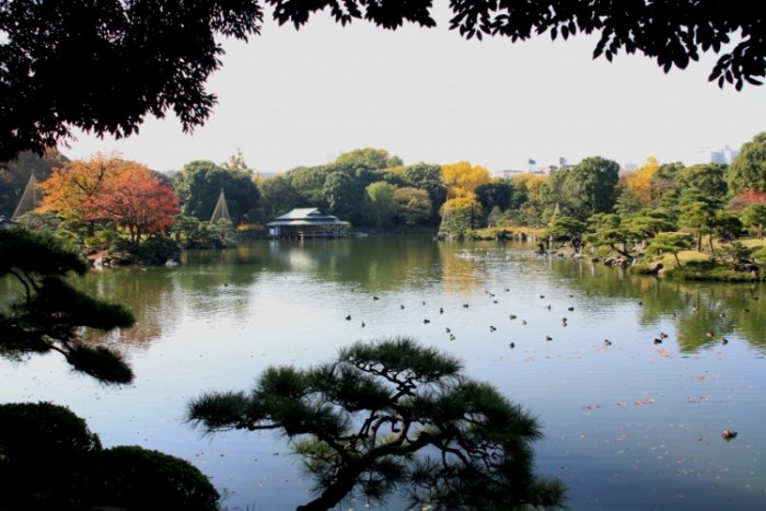 來源: http://plaza.rakuten.co.jp/sixtupo/diary/201012100000/