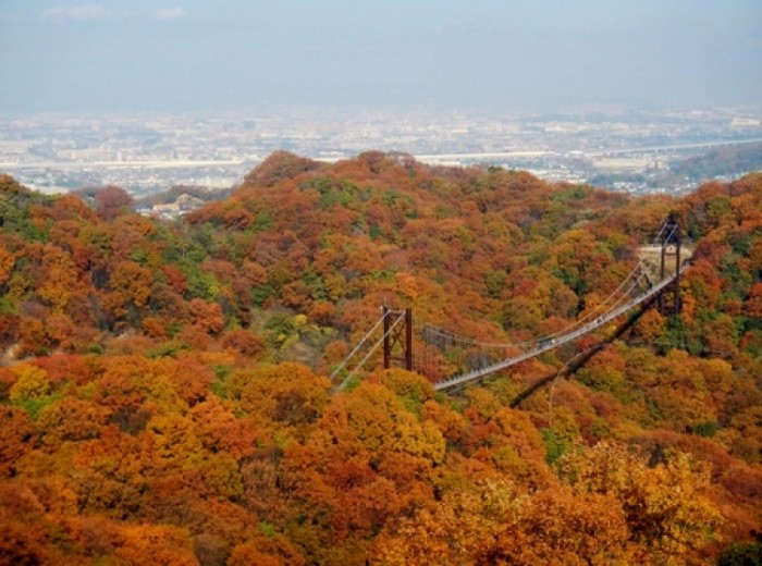 來源: http://bagel1019.exblog.jp/19079207/