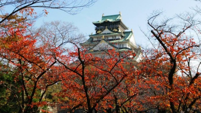 來源: https://www.facebook.com/osakacastlepark/photos/pb.716908245074414.-2207520000.1458808675./822243941207510/?type=3&theater