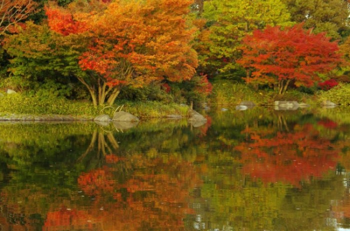 來源: http://chibita.blog.tsuge.jp/archives/1784687.html