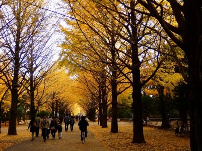 來源: http://ameblo.jp/kantokuyo/entry-11715538812.html