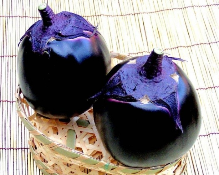 來源: http://portofseason.hannnari.com/