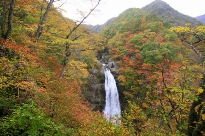 來源: http://yosipon.cocolog-nifty.com/yosipon/2007/10/post_c4b5.html
