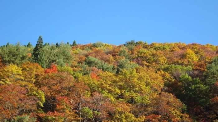 來源: http://blog.livedoor.jp/kestre1/archives/3923426.html