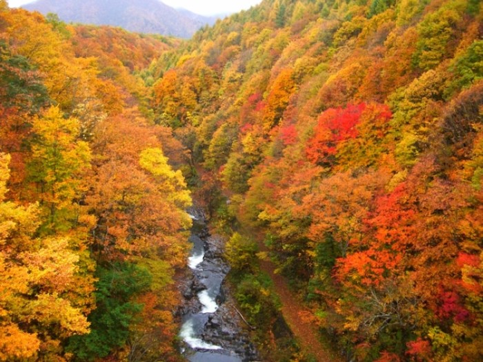 來源: http://season.topaz.ne.jp/?p=584