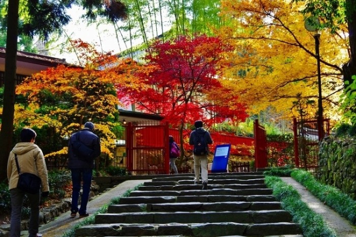 來源: http://clublynx.seesaa.net/article/381548443.html