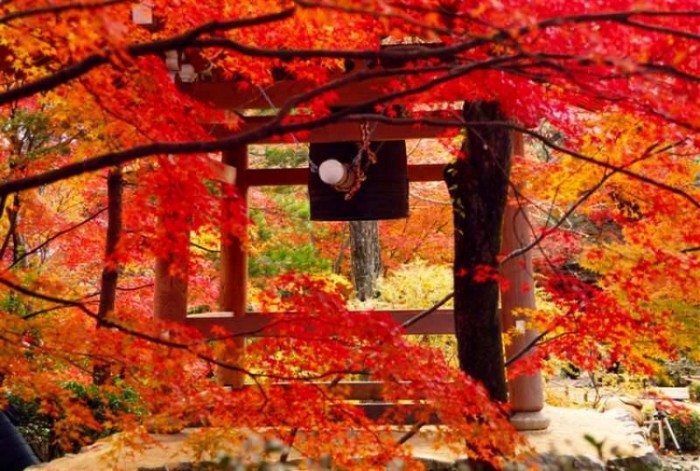來源: http://okatai3.exblog.jp/10390822/