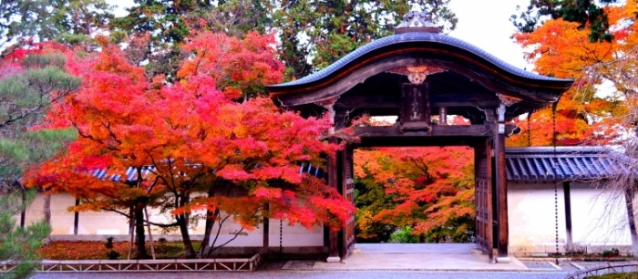 來源: http://blog.goo.ne.jp/matsudacyotosio/e/4edde9115114a556b094dcbb3b0e9c4b