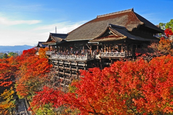 來源: http://blog.goo.ne.jp/shinsyaha/e/d7ba51bb4909c9da51a8875f07163b6b