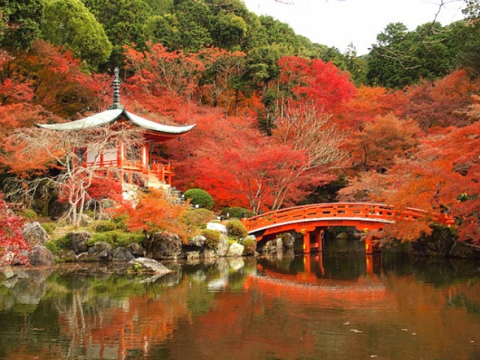 來源: http://mydearlily.exblog.jp/17551164