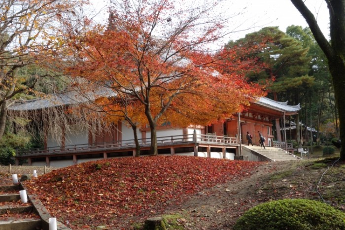 來源: http://blog.livedoor.jp/belleblog/tag/%E9%86%8D%E9%86%90%E5%AF%BA%E5%8F%8B%E3%81%AE%E4%BC%9A