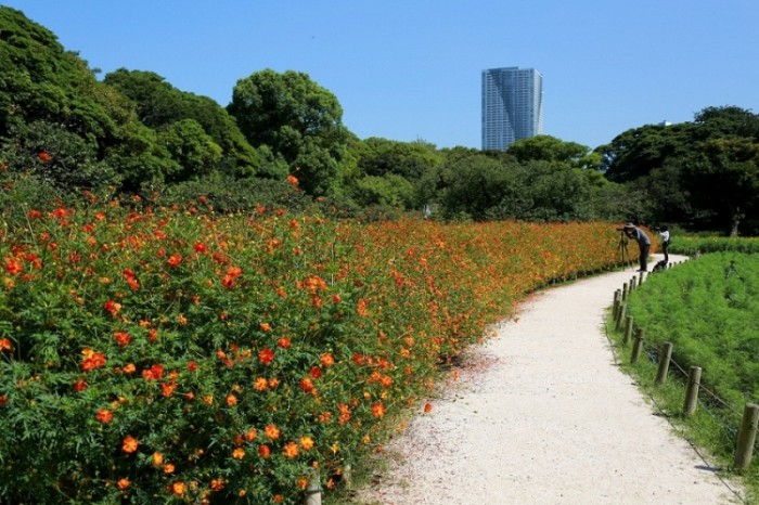 來源: http://blogs.yahoo.co.jp/nine_animal_f/9701073.html