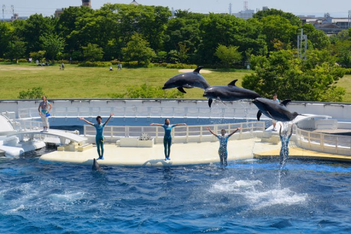 來源: http://www.kyoto-aquarium.com/