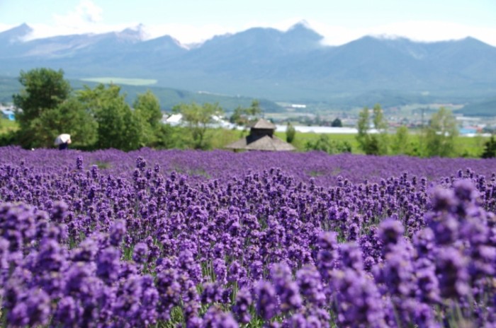 來源: http://chibita.blog.tsuge.jp/archives/1996542.html
