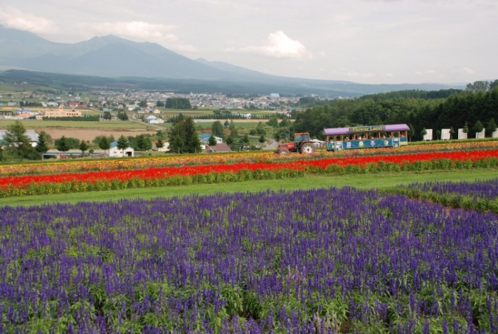 來源: http://oshi-eye.at.webry.info/201208/article_2.html