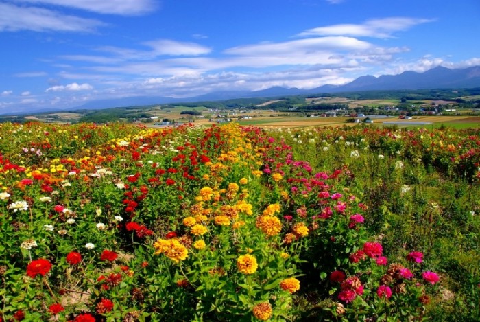 來源: http://blogs.yahoo.co.jp/heromenkmr/33534317.html