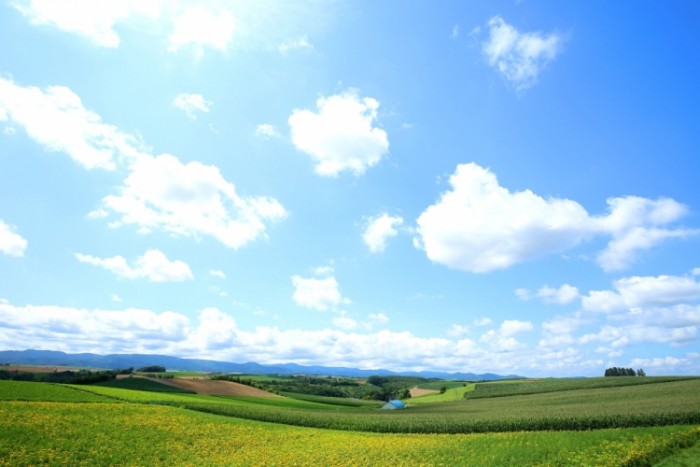 來源: http://muiminablog.blog45.fc2.com/blog-entry-1821.html