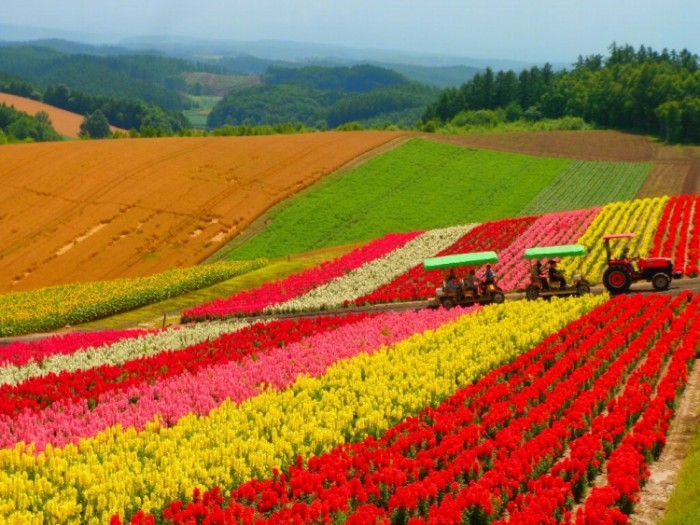 來源: http://blogs.yahoo.co.jp/yamajin33/35066710.html