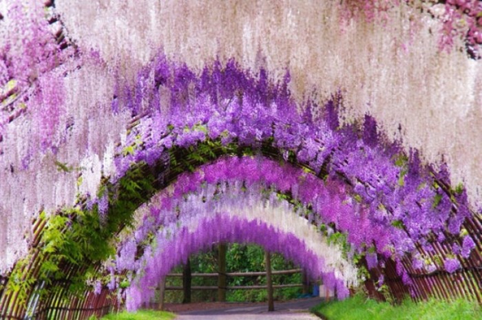 來源: http://ameblo.jp/fukumituko-0911/entry-12014699993.html