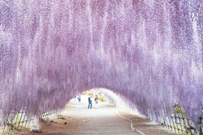 來源: http://blog.livedoor.jp/m-10_33288/archives/52107076.html