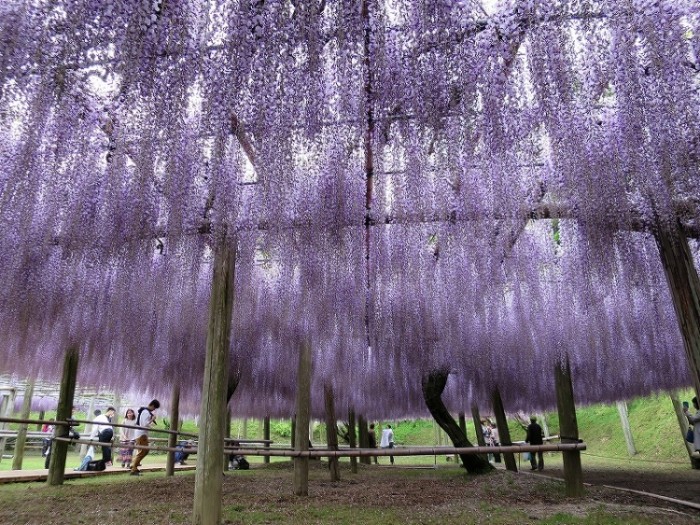 來源: http://rairairai.exblog.jp/21177750/