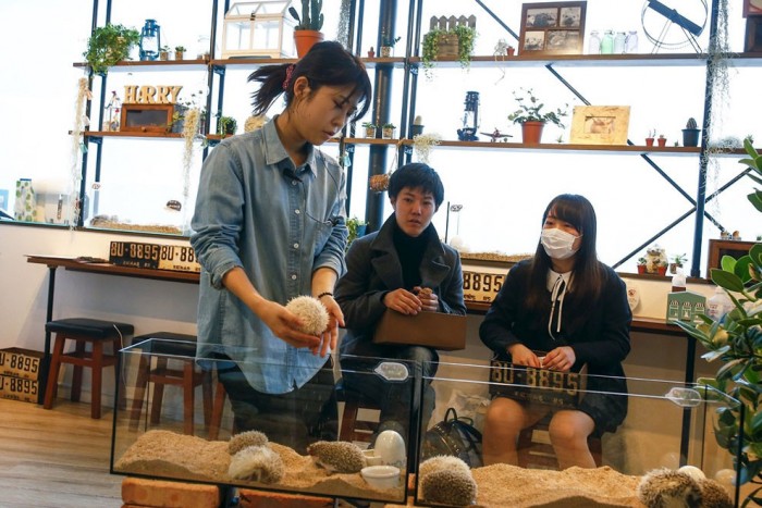 來源: http://www.ettoday.net/dalemon/post/16433