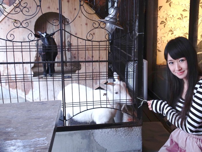 來源: http://www.sibch.tv/wp-content/uploads/2013/11/R0010578.jpg