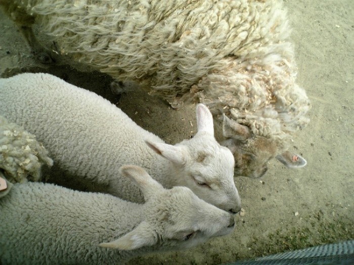 來源: http://blog.goo.ne.jp/quarnz01/e/148ddae0779065fbb711c75388b52b75