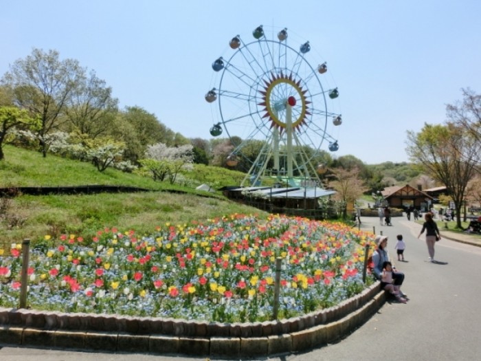 來源: http://blog.goo.ne.jp/yu-osaka/e/1d5dca8289a2a8d69a8427f6f22ea99c