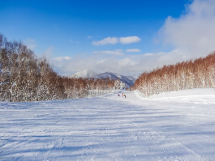 來源: http://shigakogen.jp.net/snowquality/